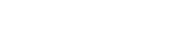 BORA_Logo-W